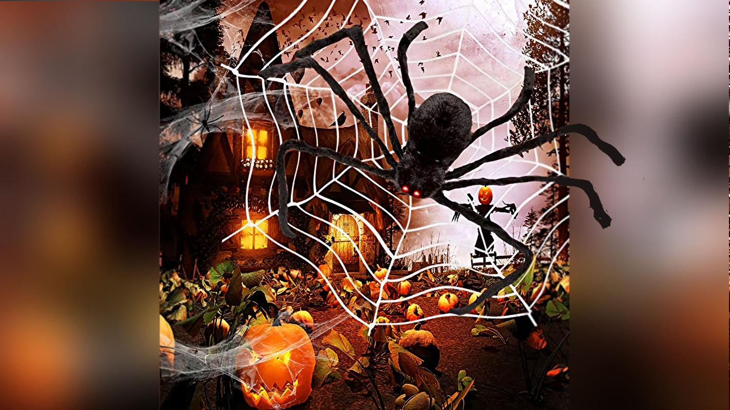 EventPhotos/Halloween/c spider 4.jpg